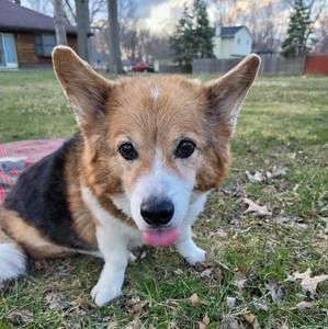 Meet your Posher, Ember